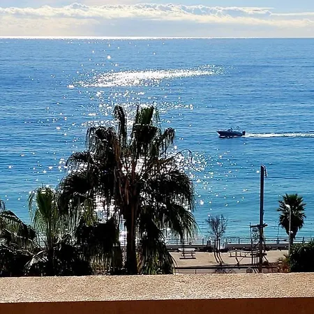 Theo'z * Cannes
